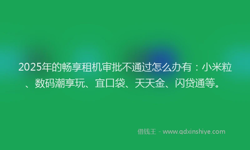 2025年的畅享租机审批不通过怎么办有：小米粒、数码潮享玩、宜口袋、天天金、闪贷通等。