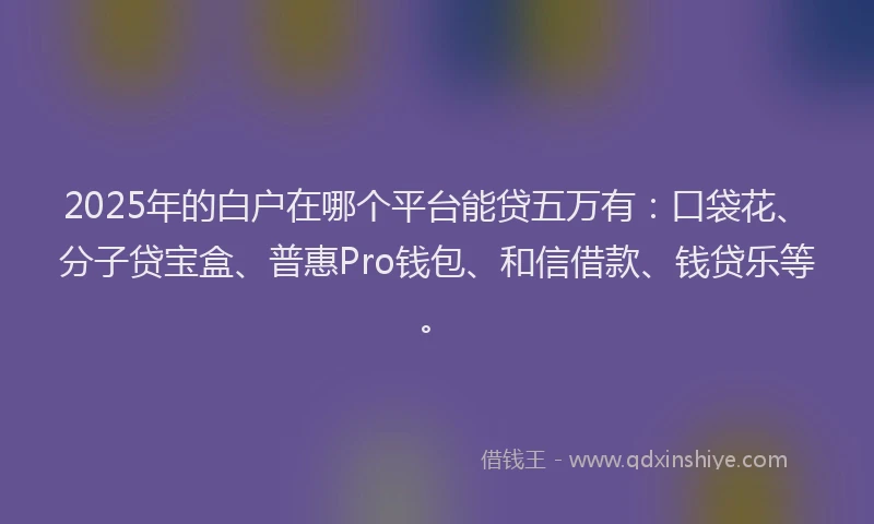 2025年的白户在哪个平台能贷五万有：口袋花、分子贷宝盒、普惠Pro钱包、和信借款、钱贷乐等。