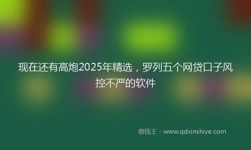 现在还有高炮2025年精选，罗列五个网贷口子风控不严的软件