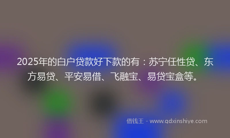 2025年的白户贷款好下款的有：苏宁任性贷、东方易贷、平安易借、飞融宝、易贷宝盒等。