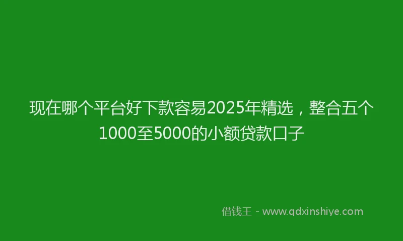 现在哪个平台好下款容易2025年精选，整合五个1000至5000的小额贷款口子