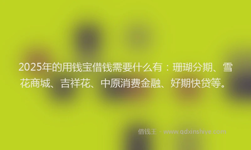 2025年的用钱宝借钱需要什么有：珊瑚分期、雪花商城、吉祥花、中原消费金融、好期快贷等。
