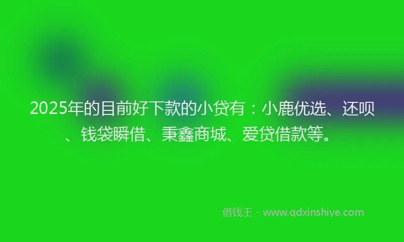 2025年的目前好下款的小贷有：小鹿优选、还呗、钱袋瞬借、秉鑫商城、爱贷借款等。