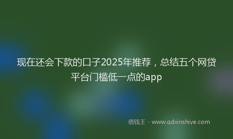 现在还会下款的口子2025年推荐，总结五个网贷平台门槛低一点的app