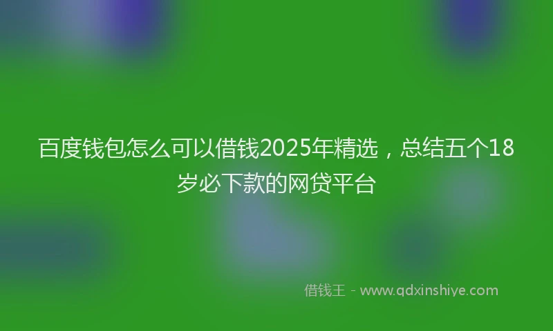 百度钱包怎么可以借钱2025年精选，总结五个18岁必下款的网贷平台