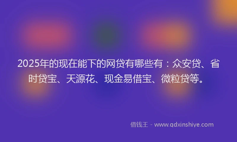 2025年的现在能下的网贷有哪些有：众安贷、省时贷宝、天源花、现金易借宝、微粒贷等。
