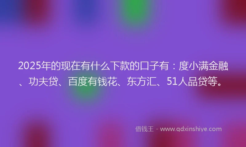 2025年的现在有什么下款的口子有：度小满金融、功夫贷、百度有钱花、东方汇、51人品贷等。