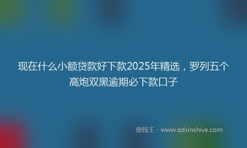 现在什么小额贷款好下款2025年精选，罗列五个高炮双黑逾期必下款口子