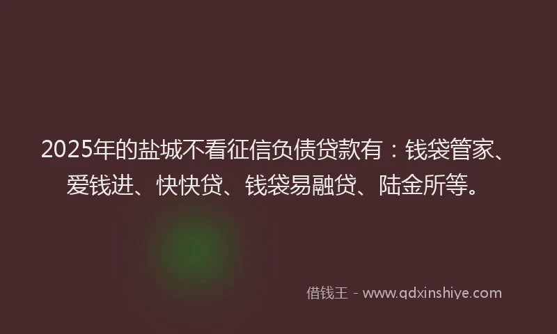 2025年的盐城不看征信负债贷款有：钱袋管家、爱钱进、快快贷、钱袋易融贷、陆金所等。