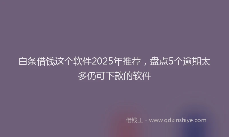 白条借钱这个软件2025年推荐，盘点5个逾期太多仍可下款的软件