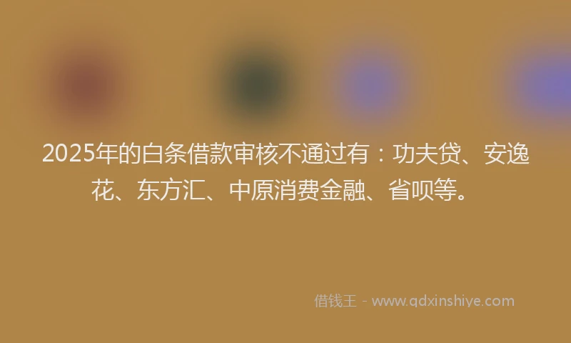 2025年的白条借款审核不通过有：功夫贷、安逸花、东方汇、中原消费金融、省呗等。