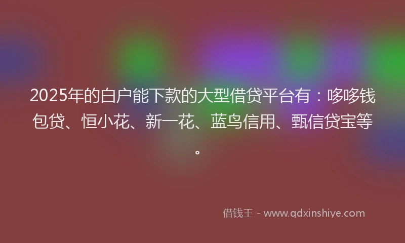 2025年的白户能下款的大型借贷平台有：哆哆钱包贷、恒小花、新一花、蓝鸟信用、甄信贷宝等。