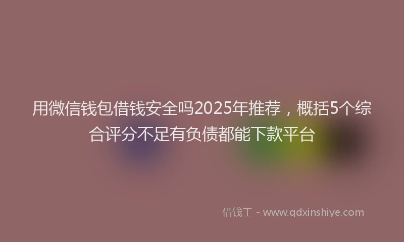 用微信钱包借钱安全吗2025年推荐，概括5个综合评分不足有负债都能下款平台