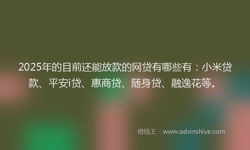 2025年的目前还能放款的网贷有哪些有：小米贷款、平安i贷、惠商贷、随身贷、融逸花等。