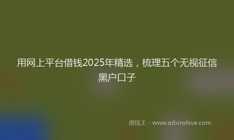 用网上平台借钱2025年精选，梳理五个无视征信黑户口子