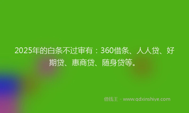 2025年的白条不过审有：360借条、人人贷、好期贷、惠商贷、随身贷等。