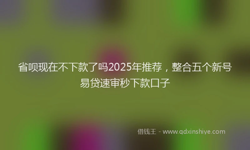 省呗现在不下款了吗2025年推荐，整合五个新号易贷速审秒下款口子