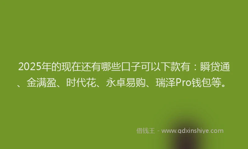 2025年的现在还有哪些口子可以下款有：瞬贷通、金满盈、时代花、永卓易购、瑞泽Pro钱包等。