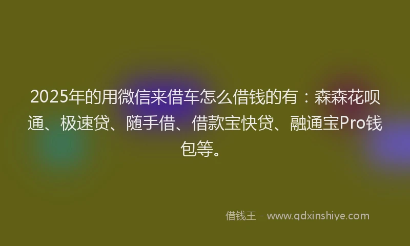 2025年的用微信来借车怎么借钱的有：森森花呗通、极速贷、随手借、借款宝快贷、融通宝Pro钱包等。