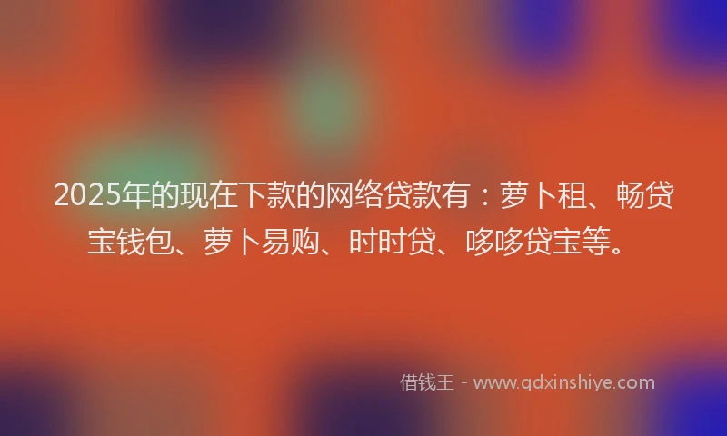 2025年的现在下款的网络贷款有：萝卜租、畅贷宝钱包、萝卜易购、时时贷、哆哆贷宝等。