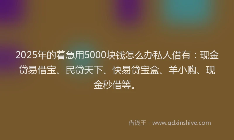 2025年的着急用5000块钱怎么办私人借有：现金贷易借宝、民贷天下、快易贷宝盒、羊小购、现金秒借等。