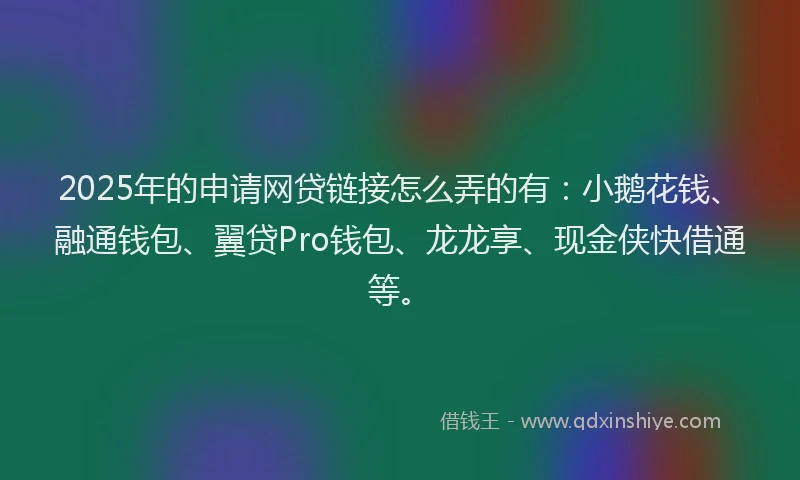 2025年的申请网贷链接怎么弄的有：小鹅花钱、融通钱包、翼贷Pro钱包、龙龙享、现金侠快借通等。