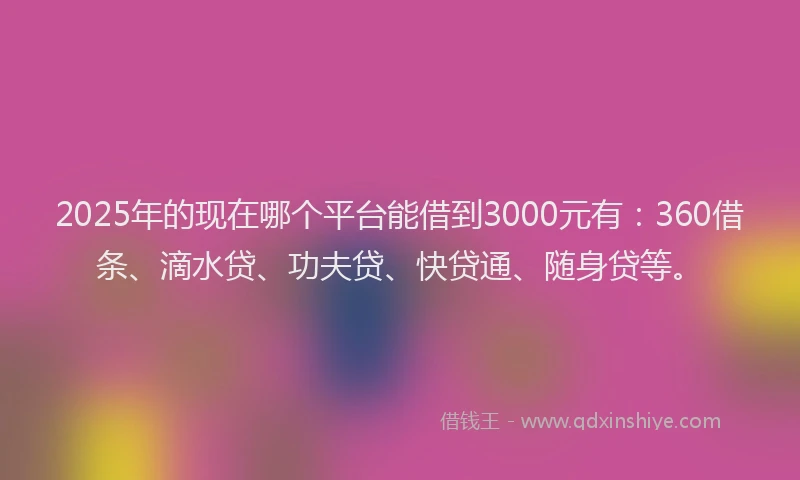 2025年的现在哪个平台能借到3000元有：360借条、滴水贷、功夫贷、快贷通、随身贷等。