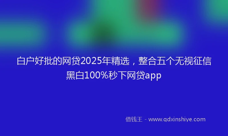 白户好批的网贷2025年精选，整合五个无视征信黑白100%秒下网贷app