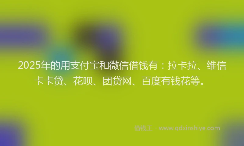 2025年的用支付宝和微信借钱有：拉卡拉、维信卡卡贷、花呗、团贷网、百度有钱花等。