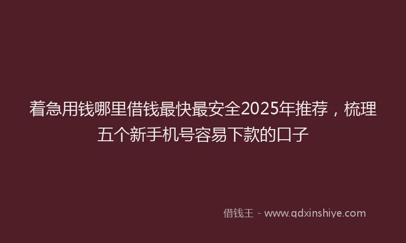 着急用钱哪里借钱最快最安全2025年推荐，梳理五个新手机号容易下款的口子