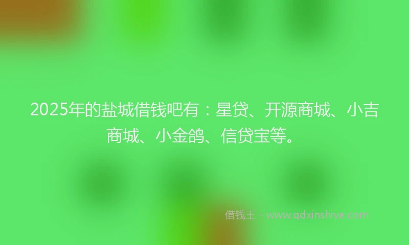 2025年的盐城借钱吧有：星贷、开源商城、小吉商城、小金鸽、信贷宝等。