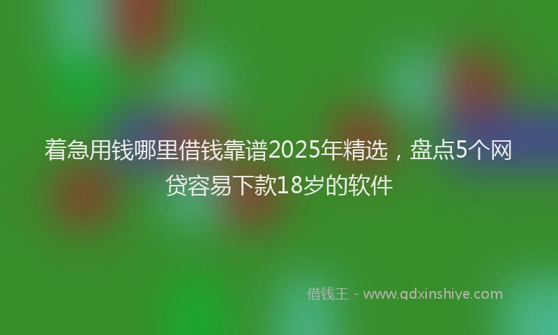 着急用钱哪里借钱靠谱2025年精选，盘点5个网贷容易下款18岁的软件