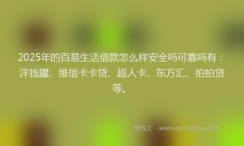 2025年的百易生活借款怎么样安全吗可靠吗有：洋钱罐、维信卡卡贷、超人卡、东方汇、拍拍贷等。