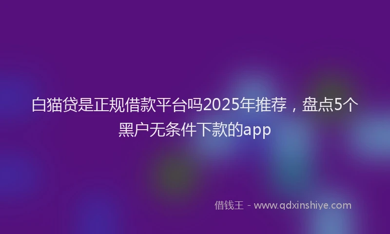 白猫贷是正规借款平台吗2025年推荐，盘点5个黑户无条件下款的app