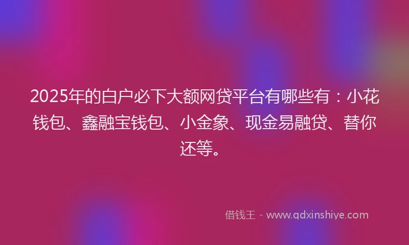 2025年的白户必下大额网贷平台有哪些有：小花钱包、鑫融宝钱包、小金象、现金易融贷、替你还等。