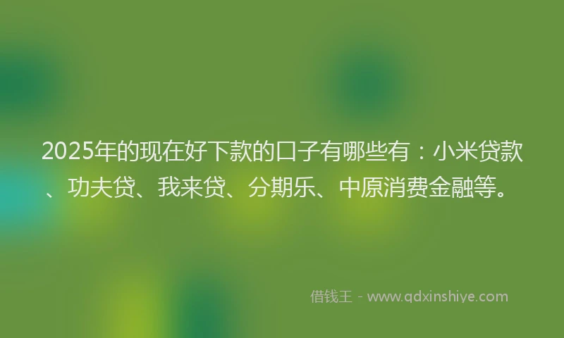 2025年的现在好下款的口子有哪些有：小米贷款、功夫贷、我来贷、分期乐、中原消费金融等。