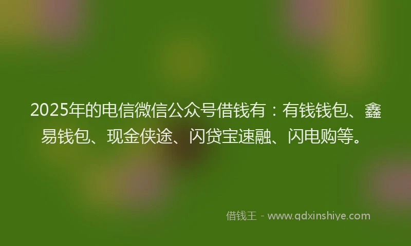 2025年的电信微信公众号借钱有：有钱钱包、鑫易钱包、现金侠途、闪贷宝速融、闪电购等。
