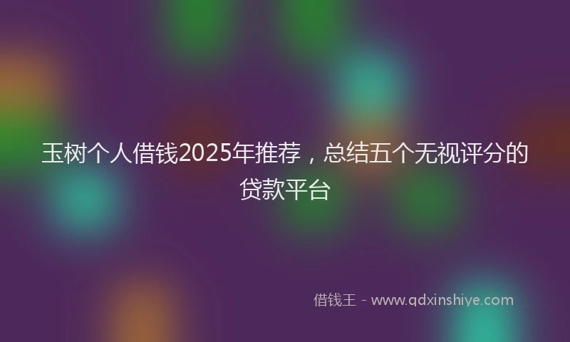 玉树个人借钱2025年推荐，总结五个无视评分的贷款平台