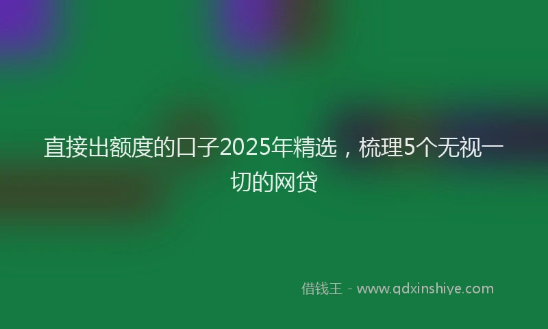直接出额度的口子2025年精选，梳理5个无视一切的网贷
