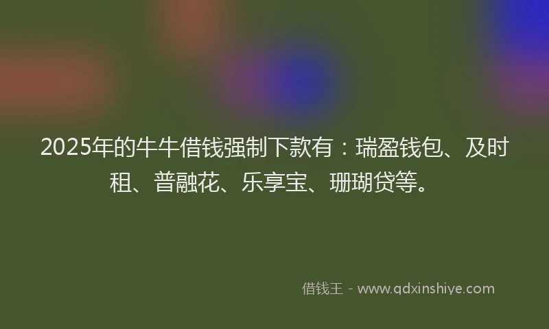 2025年的牛牛借钱强制下款有：瑞盈钱包、及时租、普融花、乐享宝、珊瑚贷等。