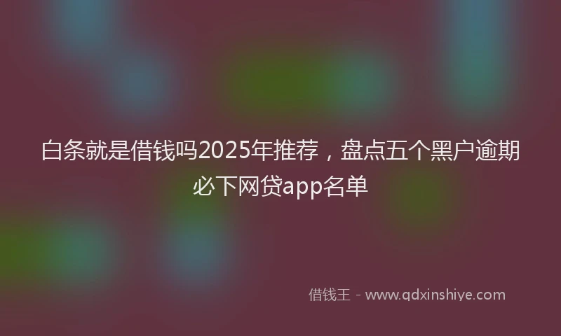 白条就是借钱吗2025年推荐，盘点五个黑户逾期必下网贷app名单