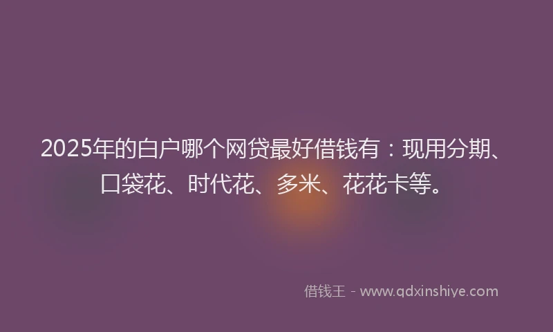 2025年的白户哪个网贷最好借钱有：现用分期、口袋花、时代花、多米、花花卡等。