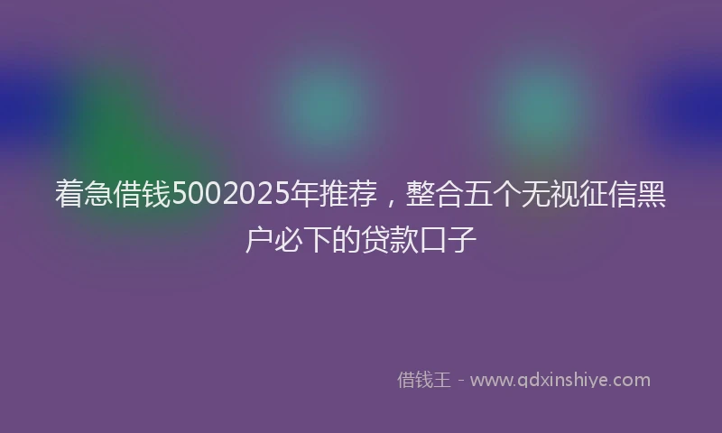 着急借钱5002025年推荐，整合五个无视征信黑户必下的贷款口子