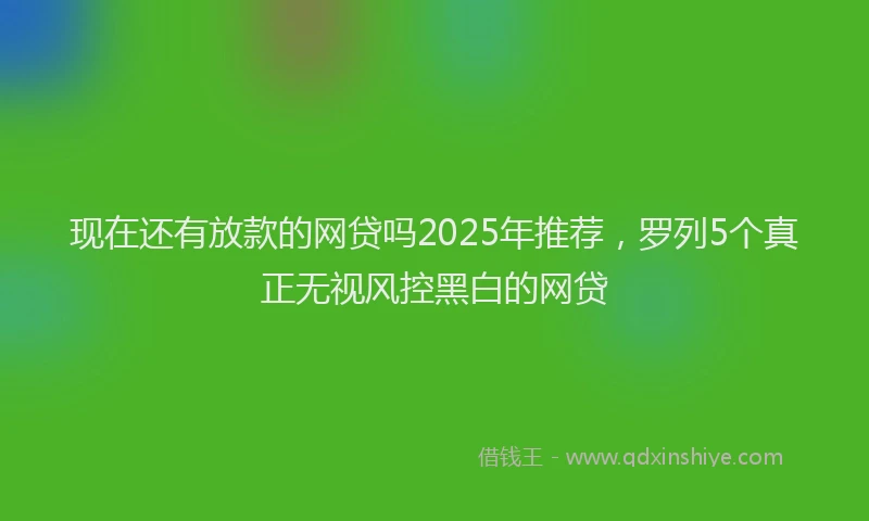 现在还有放款的网贷吗2025年推荐，罗列5个真正无视风控黑白的网贷