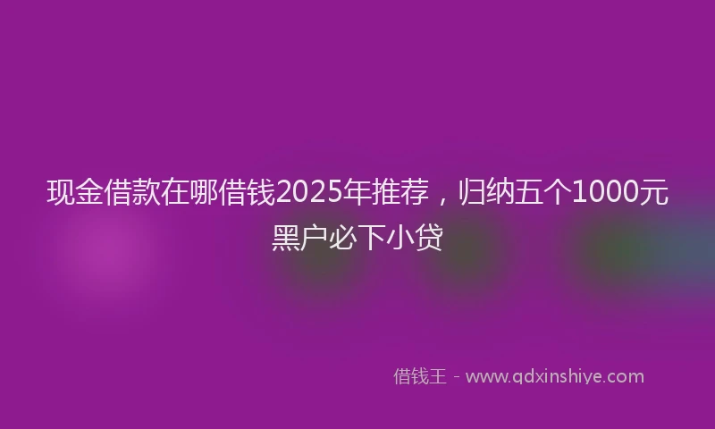 现金借款在哪借钱2025年推荐，归纳五个1000元黑户必下小贷