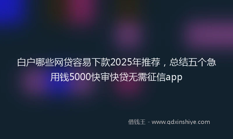 白户哪些网贷容易下款2025年推荐，总结五个急用钱5000快审快贷无需征信app