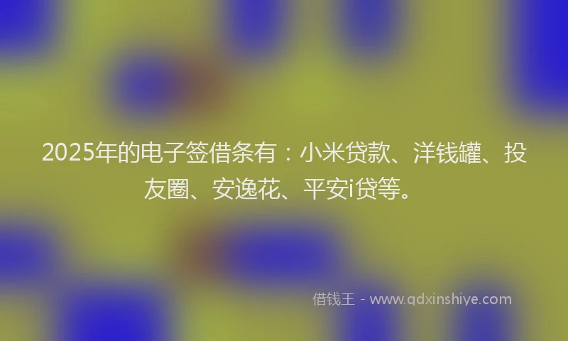2025年的电子签借条有：小米贷款、洋钱罐、投友圈、安逸花、平安i贷等。