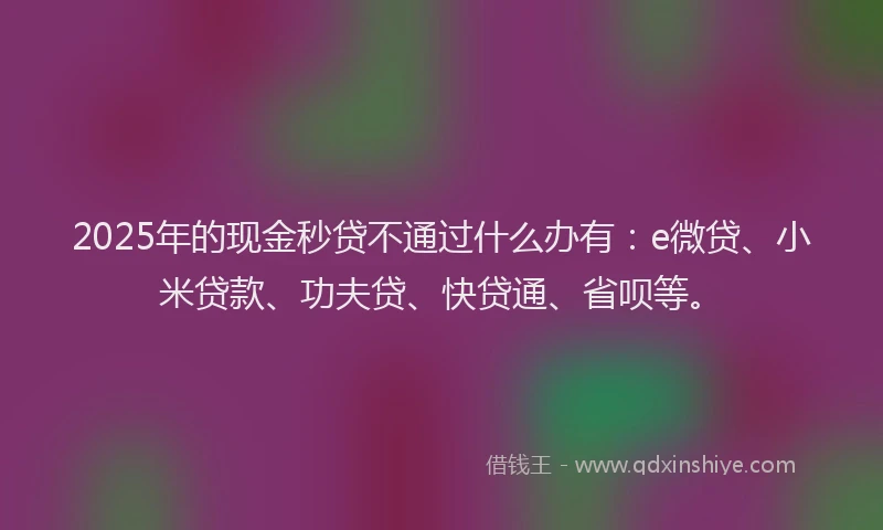 2025年的现金秒贷不通过什么办有：e微贷、小米贷款、功夫贷、快贷通、省呗等。