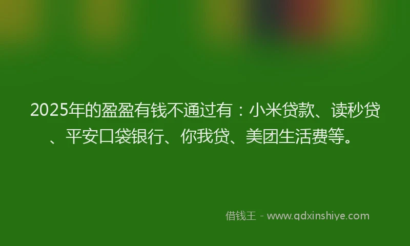 2025年的盈盈有钱不通过有：小米贷款、读秒贷、平安口袋银行、你我贷、美团生活费等。
