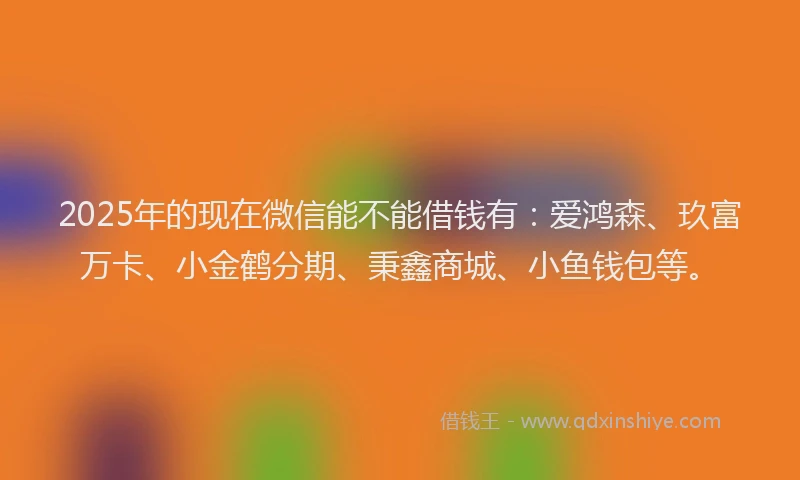 2025年的现在微信能不能借钱有：爱鸿森、玖富万卡、小金鹤分期、秉鑫商城、小鱼钱包等。